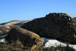 Новости из Даурского заповедника