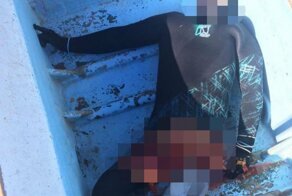 Челюсти: в Мексике акула напала на дайвера