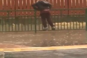 От судьбы и идиотов не убежишь