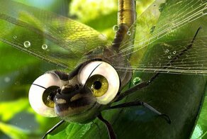 Интересные факты о стрекозах