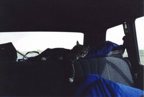 Я с вами поеду