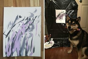 Собака рисует картины, которые пользуются большой популярностью!