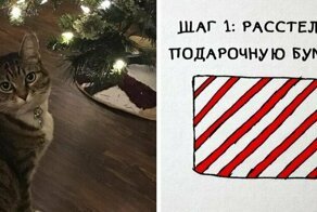 Как завернуть подарки, если у вас есть кот? Пошаговая инструкция от американского художника