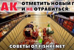 Специально для Фишкян: как отметить Новый год здорово
