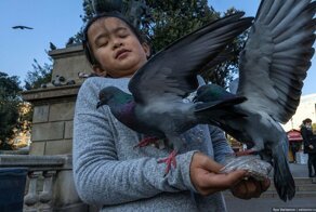 Барселона: яхта Усманова, сенегальцы и какающий Путин