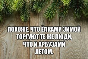 Прикольные и смешные картинки