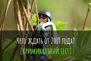 Тест: Какова вероятность того, что вас ограбят в следующем году