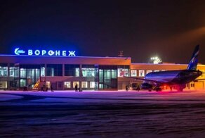 Из-за буйного хоккеиста: рейс Сочи - Москва посадили в Воронеже