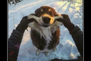 Свежая подборка демотиваторов, которые поднимут вам настроение