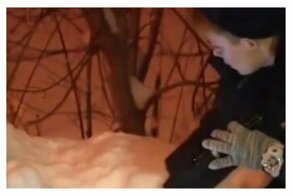 В сети появилось видео с места драки студентов в Москве