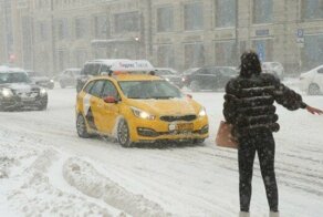В Верхней Пышме таксист избил пассажирку за то, что она нагадила ему на сидения
