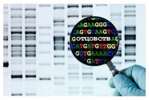 Британский миллионер более 20 лет воспитывал чужих детей