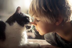 Очаровательные фотографии дружбы мальчика с кошками