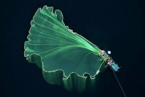 Участники конкурса дрон-фотографии снимают чудеса с небес