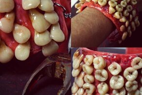 Енотика и лисичку жалко: мертвечина в искусстве