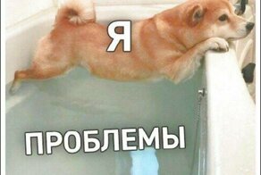 11 русских мемов популярных в США и Британии