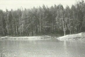 Былого не вернёшь, а мозг людям новый не вставишь