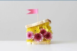 100+ любопытных фотографий в стиле минимализм, на которые невозможно насмотреться