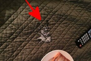 16 дезориентирующих фото, заставляющих задуматься, что же на них изображено на самом деле