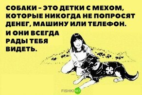 "Настало наше время": миллениалы предпочитают заводить животных, а не детей