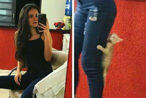 20 забавных фотографий, вся прелесть которых расположена на заднем плане