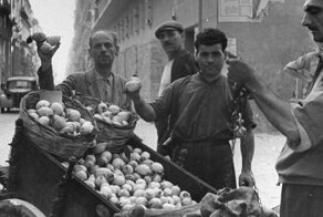 Битва за урожай, или Как сицилийская мафия выросла из лимонной косточки