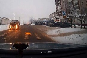 Умный рыжий кот переходит дорогу по "зебре" в Беларуси