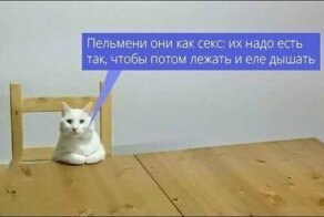 Смешные картинки с надписями