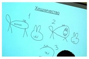 "Кусь, ам и тыгыдык": в сети появились снимки "презентации года" по биологии