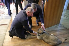 Президент Сербии подарил Путину щенка по имени Паша