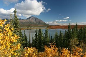 Самая выгодная сделка Америки: как Россия продала Аляску