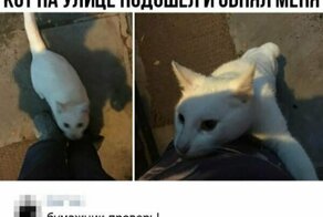 Прикольные комментарии из соцсетей