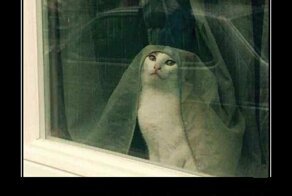 Свежая подборка демотиваторов, которые поднимут вам настроение