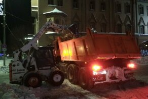 Снежные нытики