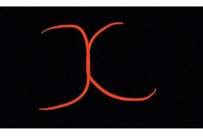 Как правильно рисовать крестик: пользователи сети выбрали свой способ и удивились