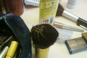 "Жизнь меня к такому не готовила!": 17 человек, которые совершенно не ожидали увиденного