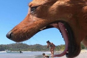 28 эпичных фотографий, которые были сделаны в идеальный момент