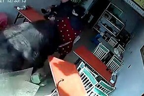 В Китае буйвол на всех парах ворвался в ресторан
