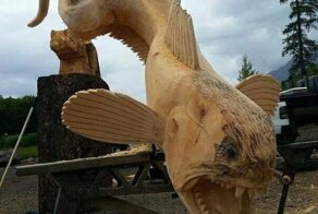 Смешные и забавные картинки