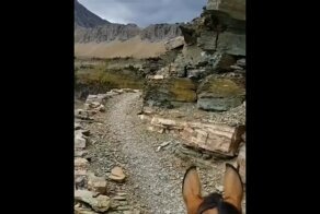 Опасная прогулка на осле в горах 