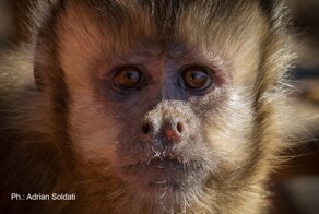 Деньги портят не только людей