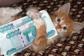 Котейка рубль бережет