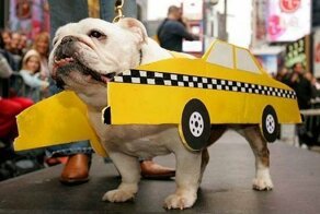 Истории таксиста, произошедшие за одну неделю - дубль 2