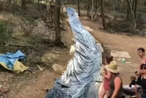 Австралийцы знают толк в развлечениях