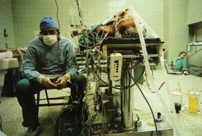 История фотографии, которая изменила мир