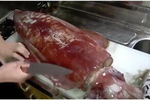Как выглядит процесс разделки кальмара