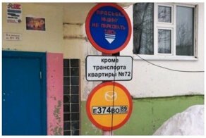 Вот хозяева двора, в голове у них дрова