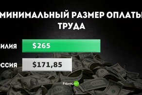 Приплыли: МРОТ в России теперь ниже, чем в Латинской Америке