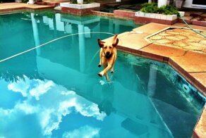 20 забавных происшествий, которые запечатлели в идеальный момент