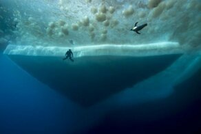 20 фото, которые обнаружат у вас талассофобию